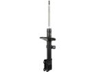 Amortecedor Dianteira Cofap para Renault Duster Oroch 2.0 16V Automático 2017 até 2022 - Cod. GP30568