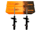 2 Amortecedor Cofap para Citroen AirCross 2010 até 2020